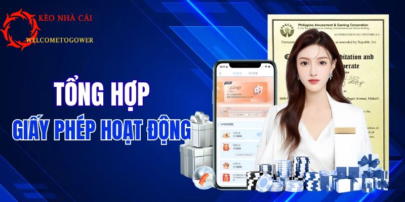 tổng quan nhà cái 8xbet